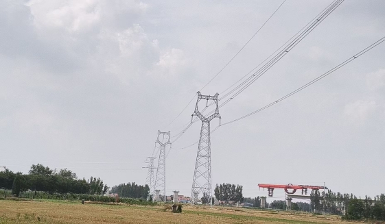 山東濱州魏橋陽信廠區電解鋁負荷至濱州220kV應急線路工程等2個工程順利竣工